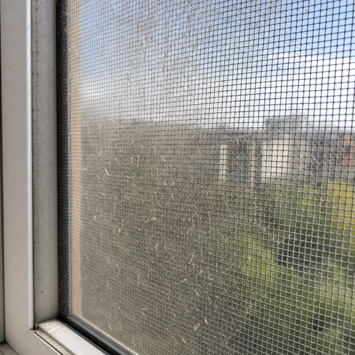 Velmiva Window & Screen Foam Cleaner — 500 mL product image 3