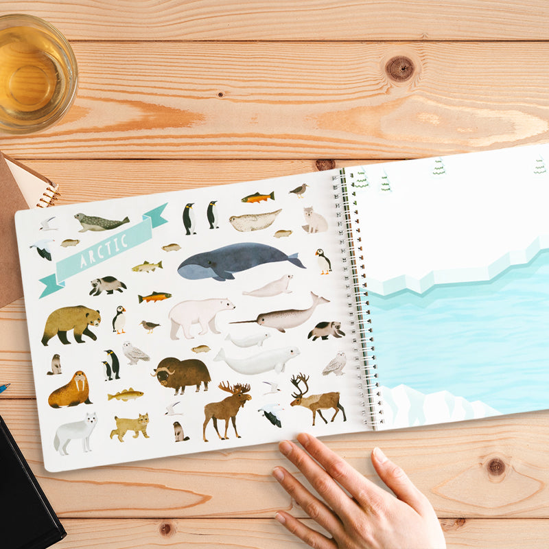 📕The Sticker Book That Builds Attention Spans – A Hands-On Journey Through Nature