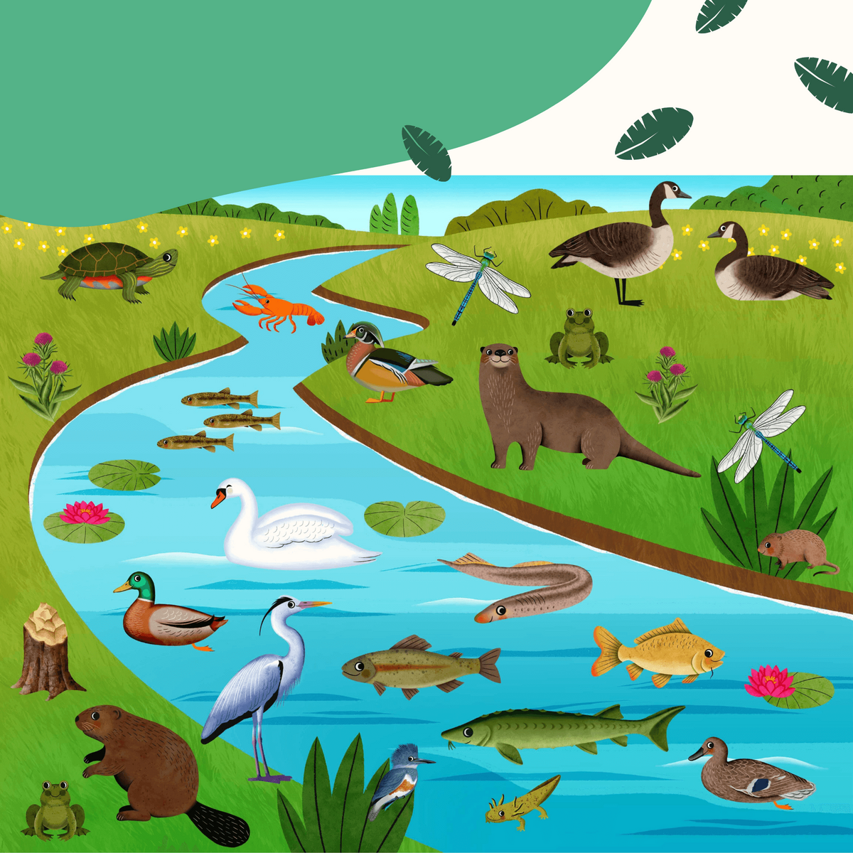 📕The Sticker Book That Builds Attention Spans – A Hands-On Journey Through Nature