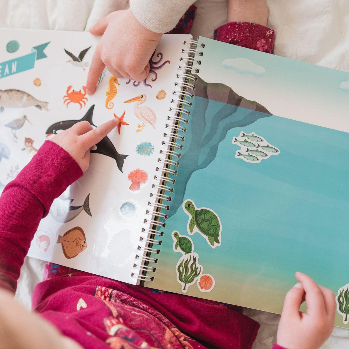 📕The Sticker Book That Builds Attention Spans – A Hands-On Journey Through Nature